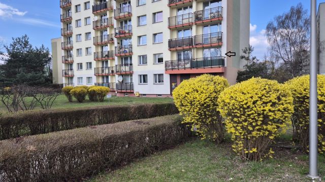 Mieszkanie 2-pokojowe Chorzów Batory, ul. Graniczna. Zdjęcie 1