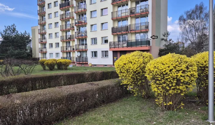 Mieszkanie 2-pokojowe Chorzów Batory, ul. Graniczna