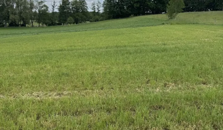 Działka budowlana Grodziszcze