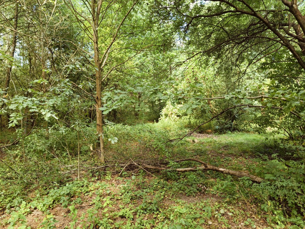 Działka budowlana Chobot. Zdjęcie 6