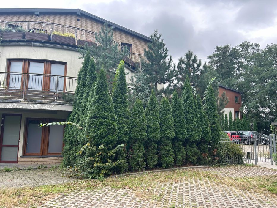 Äripind, 56 m²