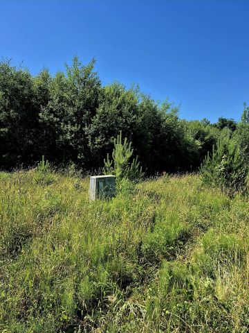 Działka budowlana Pomlewo, ul. Kasztanowa. Zdjęcie 1