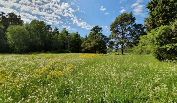 Działka budowlana Częstochowa Kiedrzyn