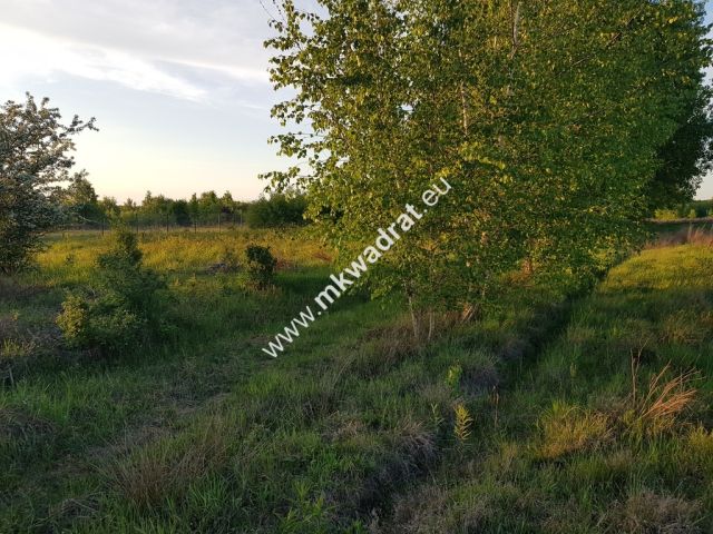 Działka budowlana Radziejowice, ul. Ossolińskich. Zdjęcie 1