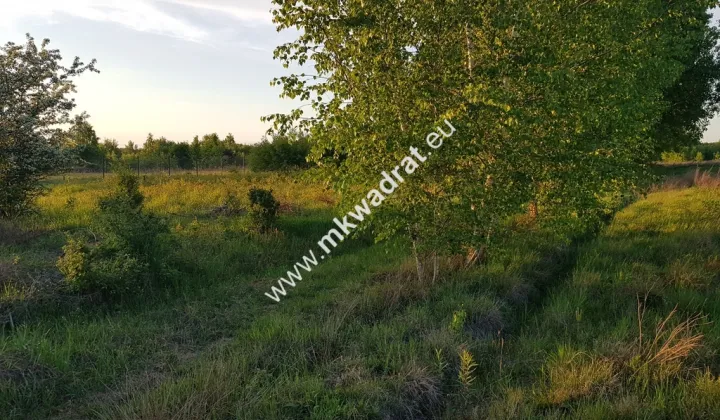 Działka budowlana Radziejowice, ul. Ossolińskich