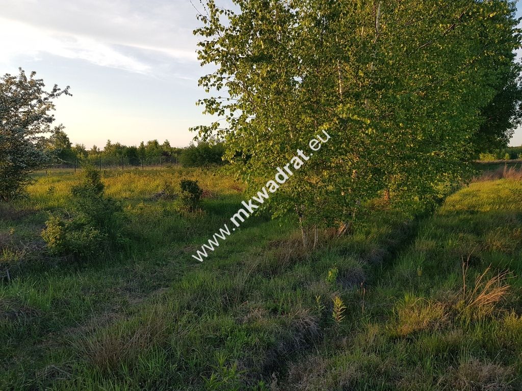 Działka budowlana Radziejowice, ul. Ossolińskich. Zdjęcie 1