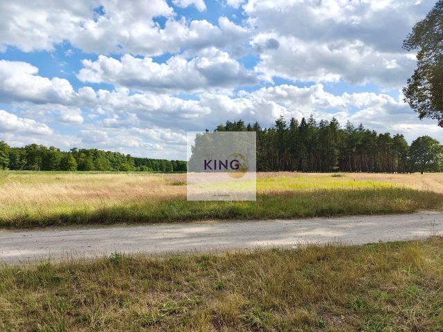 Działka rolna Stolec. Zdjęcie 2