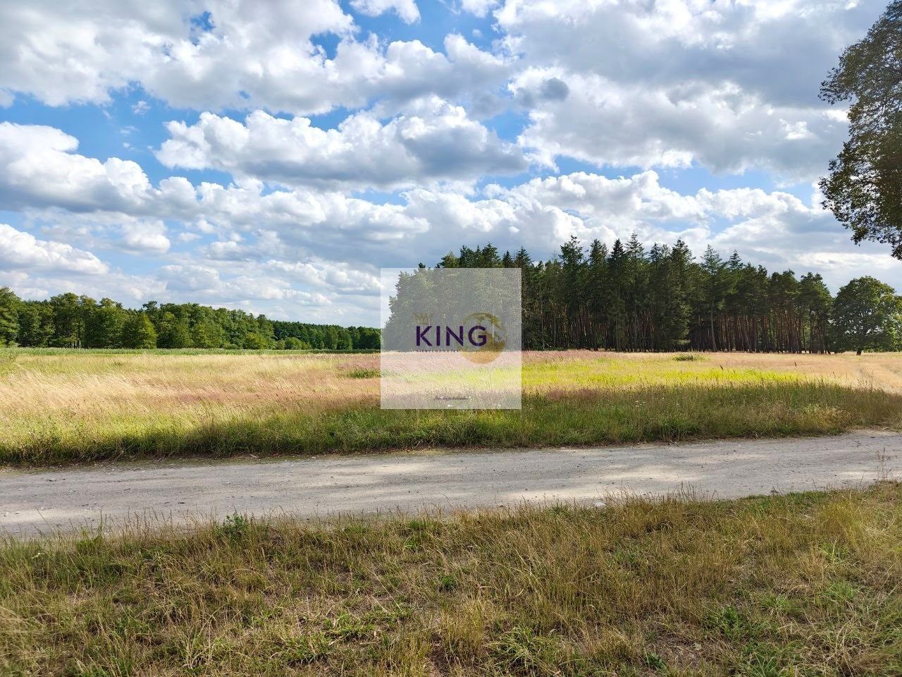 Działka rolna Stolec. Zdjęcie 2