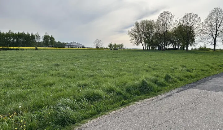 Działka rolno-budowlana Teodorów, Konwaliowa