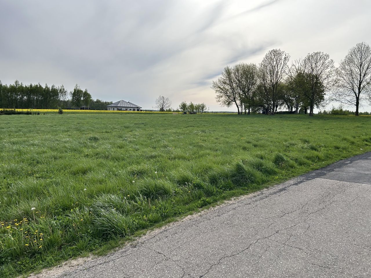 Działka rolno-budowlana Teodorów, Konwaliowa. Zdjęcie 1