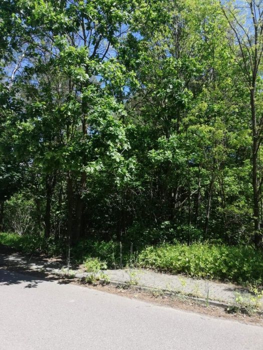 Działka rekreacyjna Popielżyn-Zawady. Zdjęcie 2