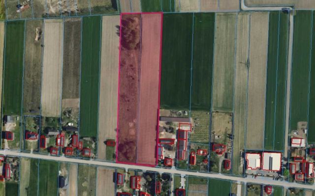 Działka budowlana Mogilno Duże. Zdjęcie 1