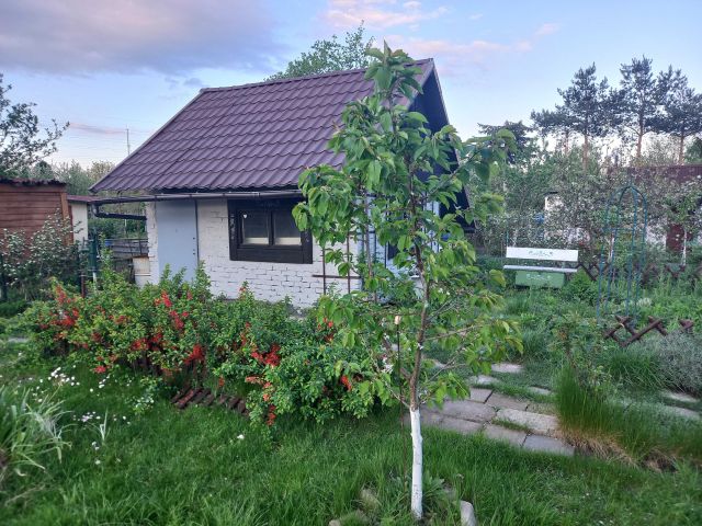 Działka rekreacyjna Wrocław Stare Miasto. Zdjęcie 1