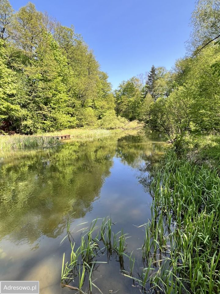 Działka budowlana Spychowo, ul. Łąkowa. Zdjęcie 9
