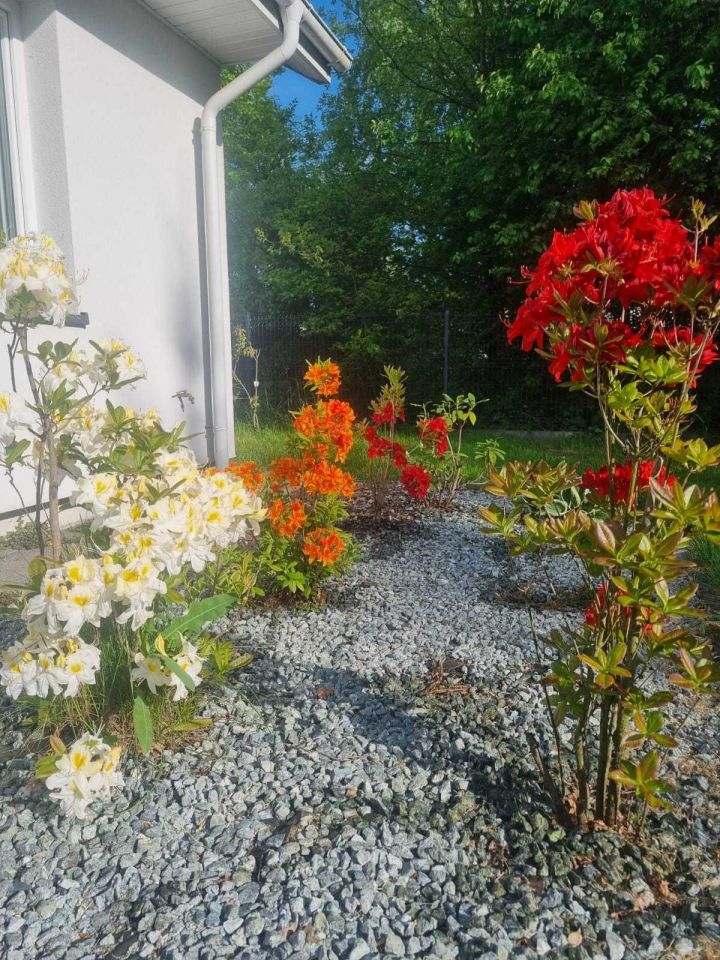 dom wolnostojący Grodzisk Mazowiecki, ul. 3 Maja. Zdjęcie 7