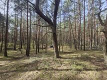 Działka rekreacyjna Lucynów Duży. Zdjęcie 3