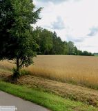 Działka budowlana Wieczfnia Kościelna. Zdjęcie 2