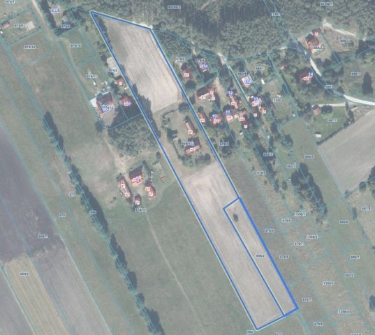 Działka siedliskowa Chojno-Błota Małe. Zdjęcie 17