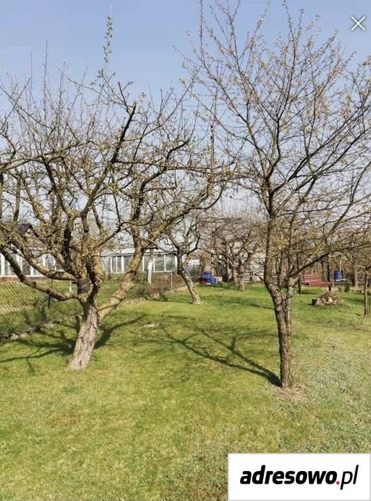 Działka rod Bartoszki. Zdjęcie 9