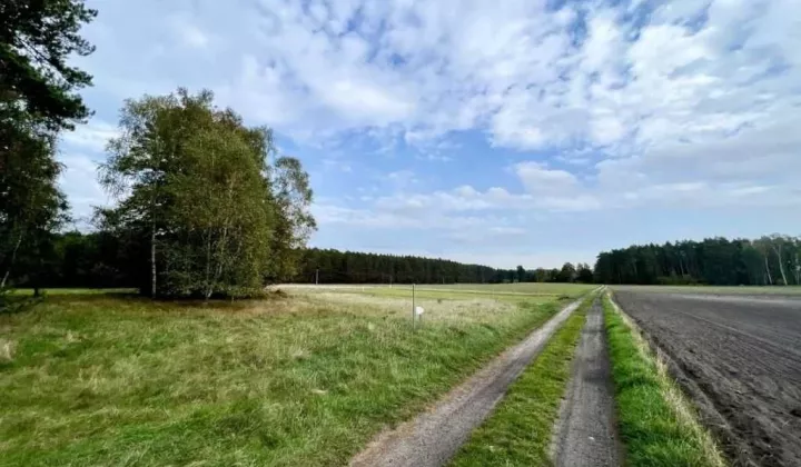 Działka rolno-budowlana Dąbrówka Wielkopolska Boleń