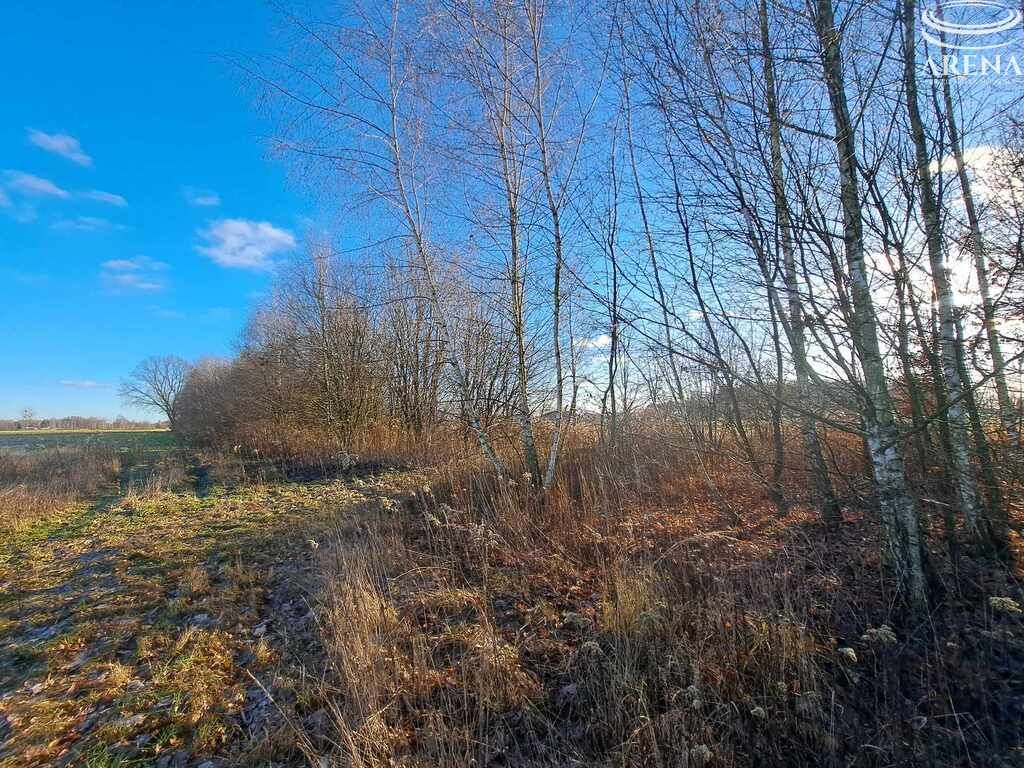 Działka rolno-budowlana Uciekajka. Zdjęcie 4