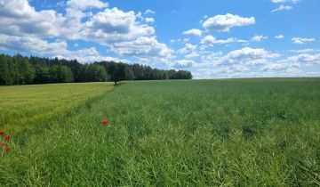 Działka rolna Skrzyniec-Kolonia