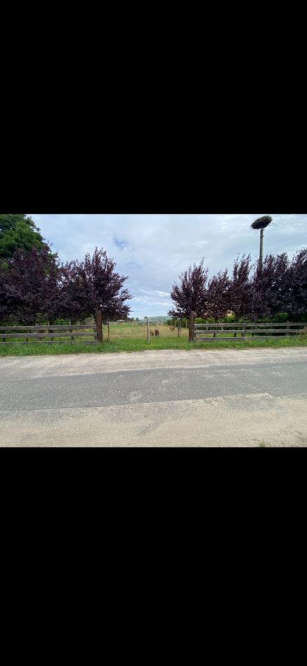 Działka budowlana Tarchalin