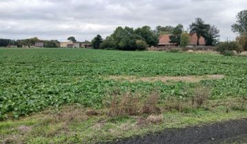 Działka budowlana Poniatowice