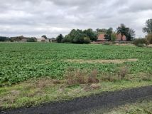 Działka budowlana Poniatowice