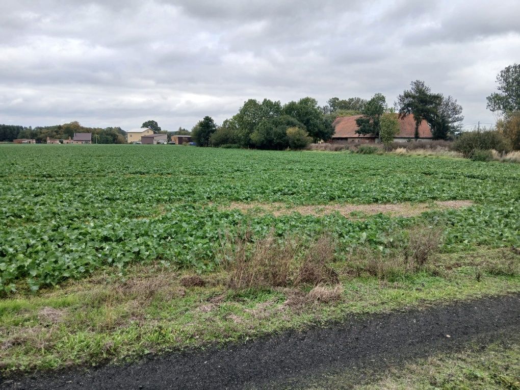 Działka budowlana Poniatowice