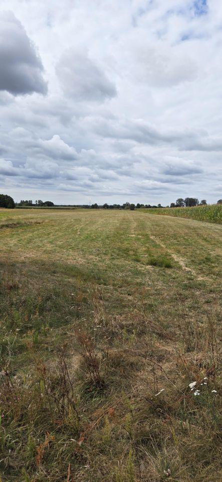 Działka rolna Pożarów. Zdjęcie 2