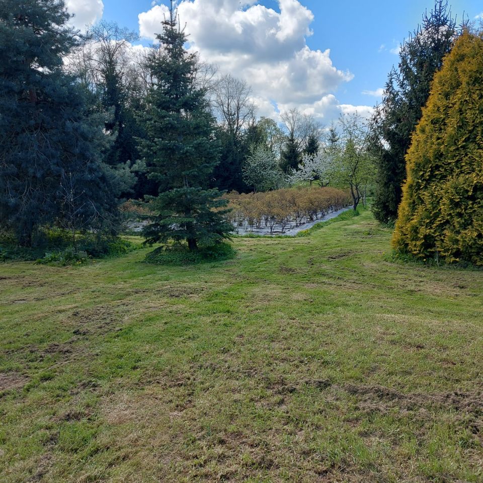 dom wolnostojący, 2 pokoje Markusy, Markusy. Zdjęcie 9