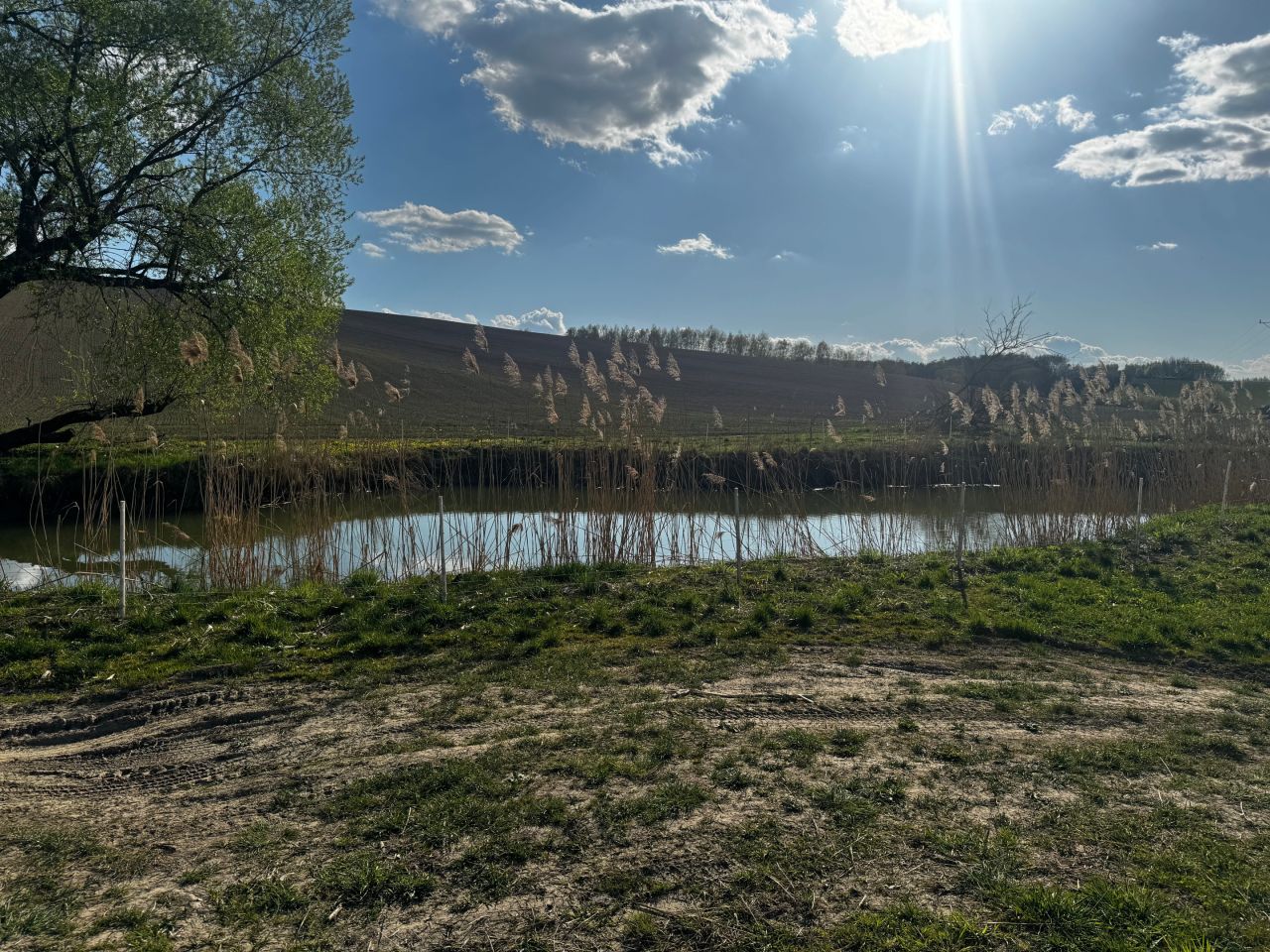 Działka rolno-budowlana Błędowa Zgłobieńska. Zdjęcie 10
