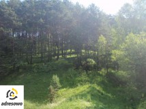 Działka rolno-budowlana Racławice. Zdjęcie 2