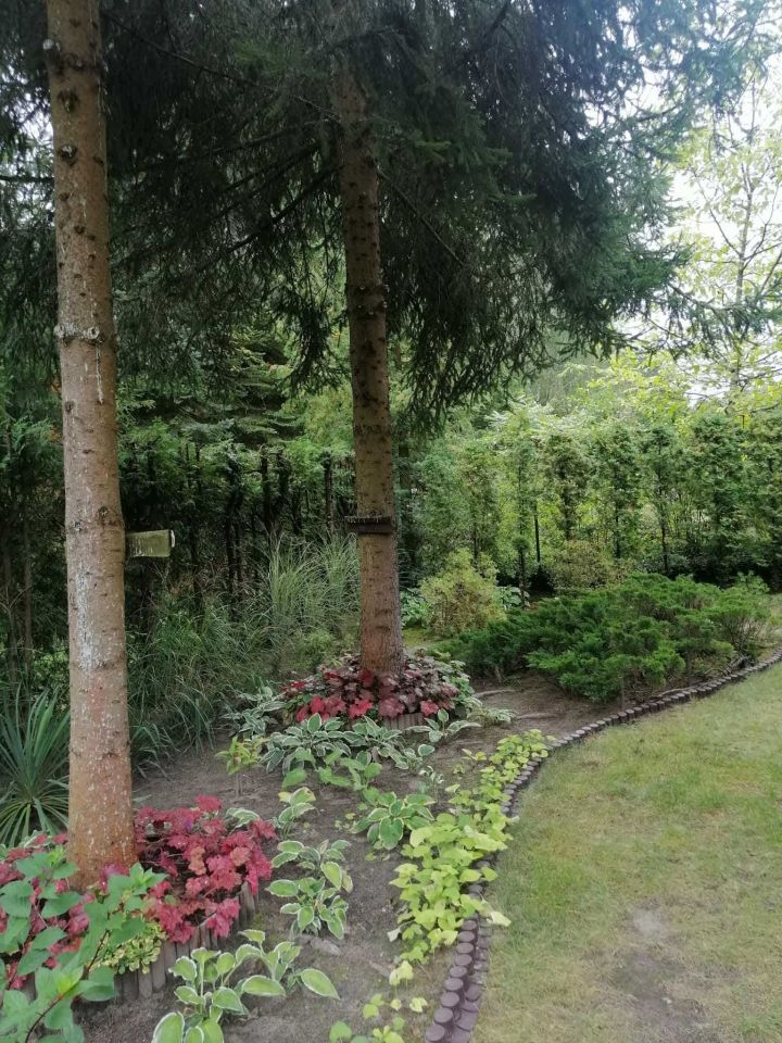 dom letniskowy Rogóźno. Zdjęcie 3