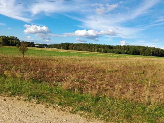 Działka rolna Kąty-Miąski. Zdjęcie 1