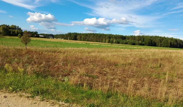 Działka rolna Kąty-Miąski