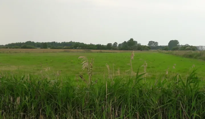 Działka budowlana Żukowo Morskie, darlowska