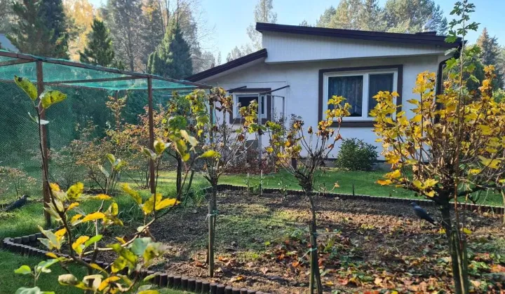 Działka rekreacyjna Chorzeszów, ul. Słoneczna