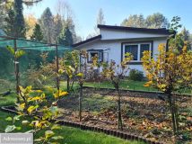 Działka rekreacyjna Chorzeszów, ul. Słoneczna. Zdjęcie 3