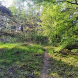 Działka rolno-budowlana Olszyny, ul. Różana. Zdjęcie 1