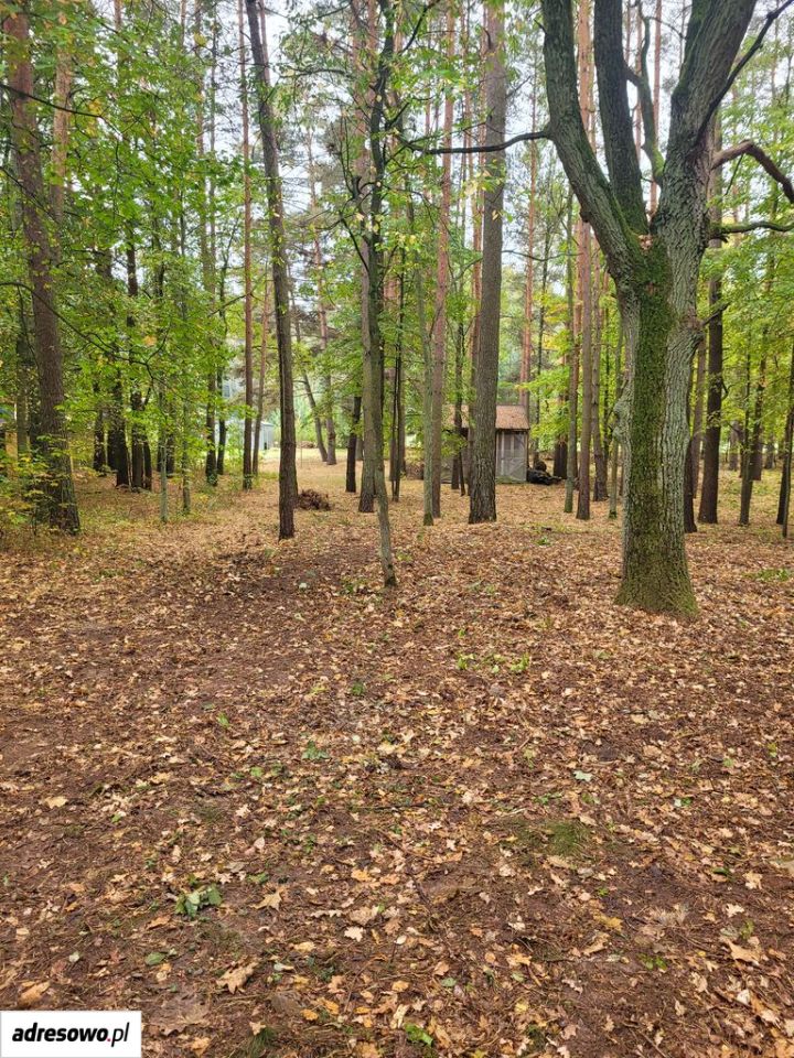 Działka budowlana Grotniki, ul. Ozorkowska. Zdjęcie 6
