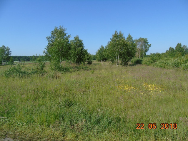 Działka rolna Mniszek. Zdjęcie 1