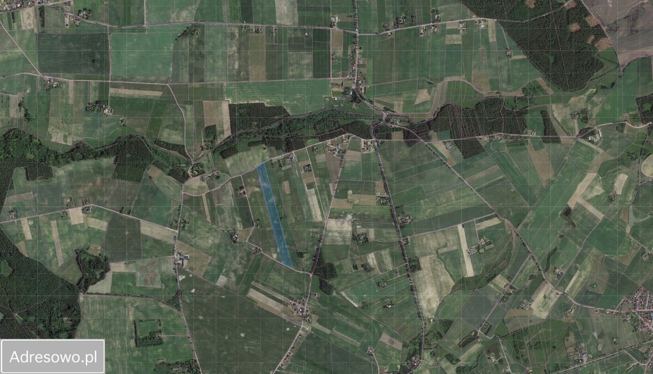 Działka rolno-budowlana Karolewo. Zdjęcie 4