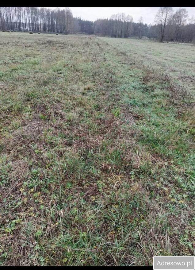Działka budowlana Brzuza. Zdjęcie 7