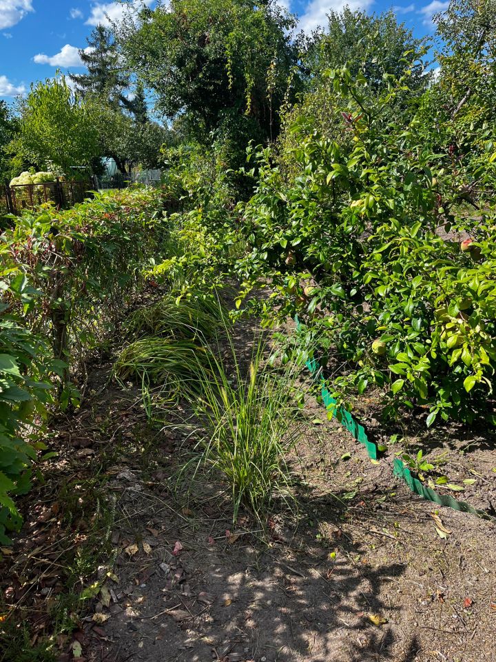 Działka rod Poznań Krzesiny, ul. Jarosławska. Zdjęcie 12