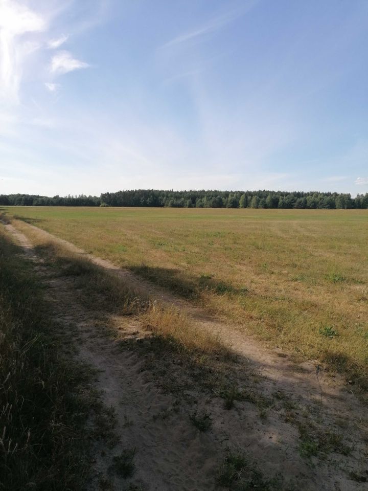 Działka rolno-budowlana Brzozówka. Zdjęcie 2