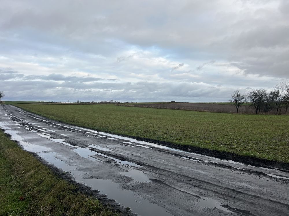 Działka siedliskowa Gogolinek. Zdjęcie 5