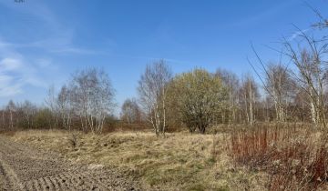 Działka inwestycyjna Nieborów, ul. Wschodnia