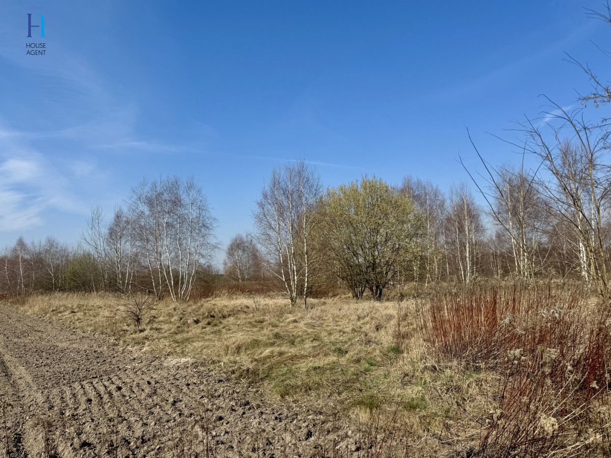 Działka inwestycyjna Nieborów, ul. Wschodnia. Zdjęcie 2